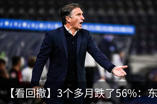 【看回撤】3个多月跌了56%：东方阿尔法基金百万持有人何去何从？