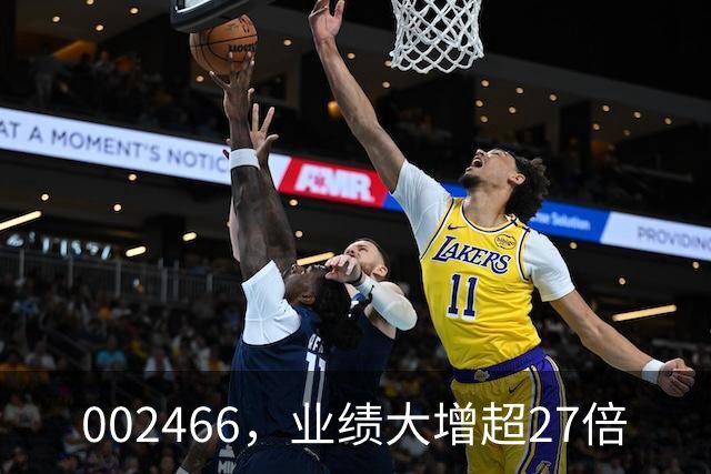 002466，业绩大增超27倍